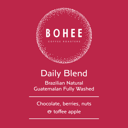 Daily Blend: 50/50 Brazil / Guatemala